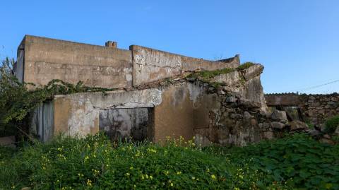 Quinta com 36.960m² à Venda na Fuseta - Oportunidade Única