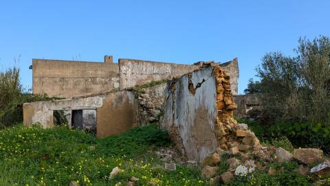 Quinta com 36.960m² à Venda na Fuseta - Oportunidade Única