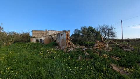 Quinta com 36.960m² à Venda na Fuseta - Oportunidade Única