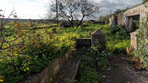 Quinta com 36.960m² à Venda na Fuseta - Oportunidade Única