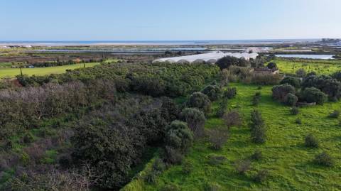 Quinta com 36.960m² à Venda na Fuseta - Oportunidade Única