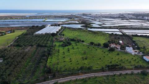 Quinta com 36.960m² à Venda na Fuseta - Oportunidade Única