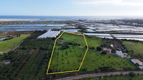 Quinta com 36.960m² à Venda na Fuseta - Oportunidade Única