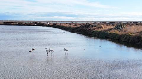 moradia com terreno à venda em Bias do Sul Moncarapacho