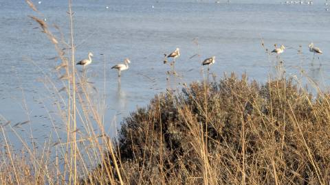 moradia com terreno à venda em Bias do Sul Moncarapacho