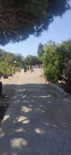 casa na ilha da Armona á venda