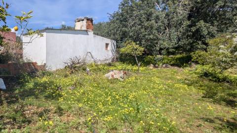 Dois imóveis numa propriedade: oportunidade em Santo Estêvão, Tavira