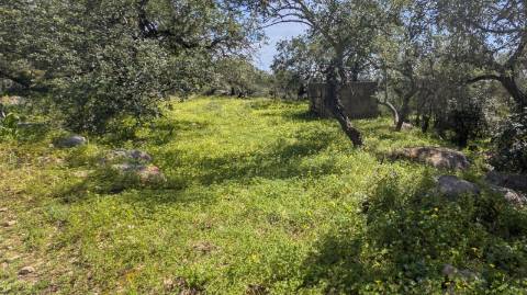Dois imóveis numa propriedade: oportunidade em Santo Estêvão, Tavira