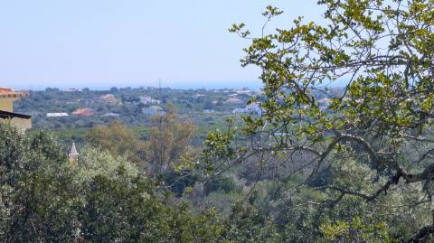 Dois imóveis numa propriedade: oportunidade em Santo Estêvão, Tavira