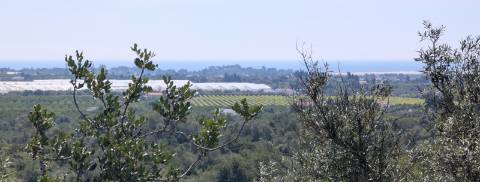 Dois imóveis numa propriedade: oportunidade em Santo Estêvão, Tavira
