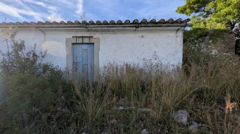 Dois imóveis numa propriedade: oportunidade em Santo Estêvão, Tavira