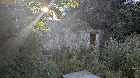 Dois imóveis numa propriedade: oportunidade em Santo Estêvão, Tavira