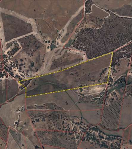 TERRENO DE 22,45 HA COM RUÍNA DE 240 M² PARA RECUPERAÇÃO EM FERREIRA DO ALENTEJO