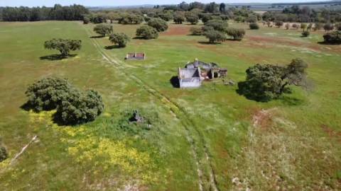 TERRENO DE 22,45 HA COM RUÍNA DE 240 M² PARA RECUPERAÇÃO EM FERREIRA DO ALENTEJO