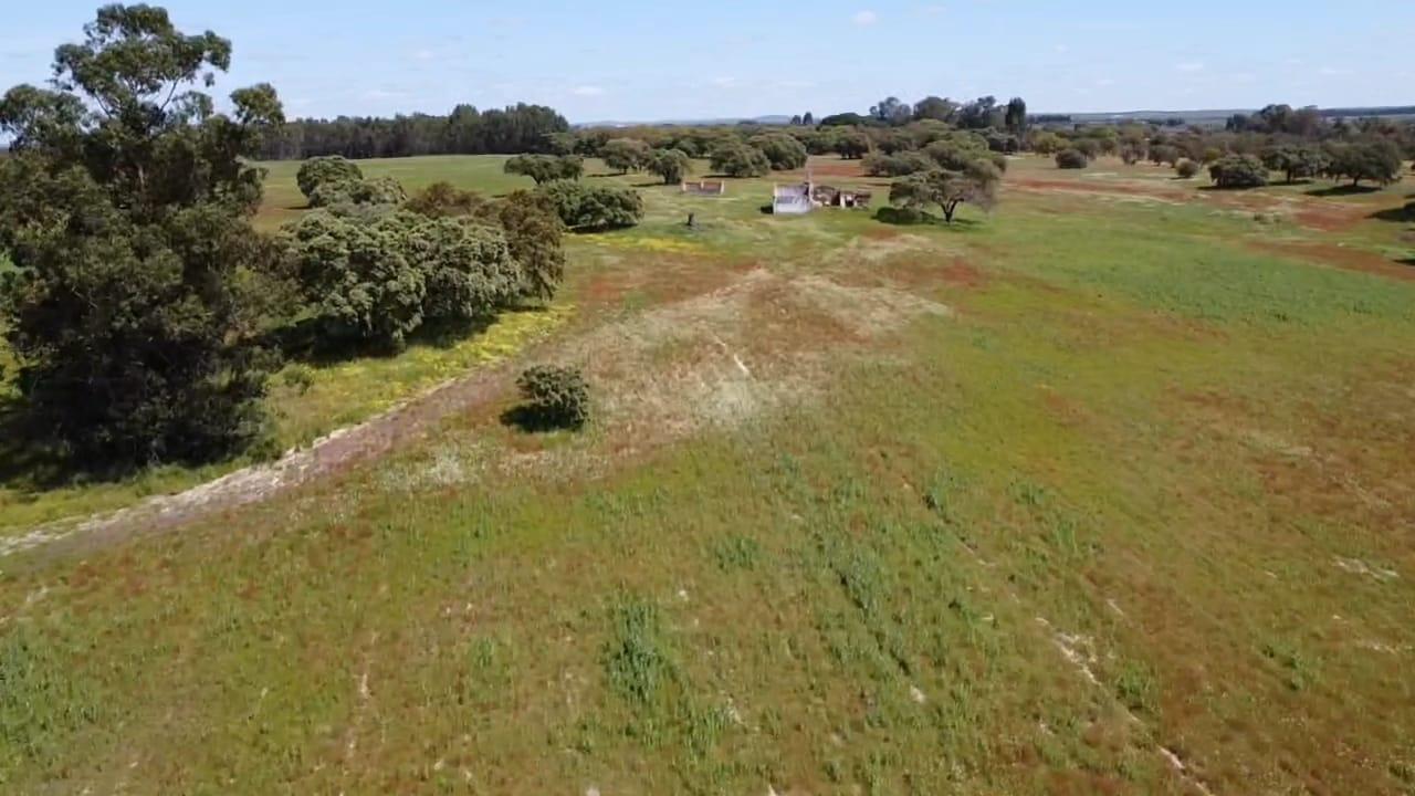 TERRENO DE 22,45 HA COM RUÍNA DE 240 M² PARA RECUPERAÇÃO EM FERREIRA DO ALENTEJO