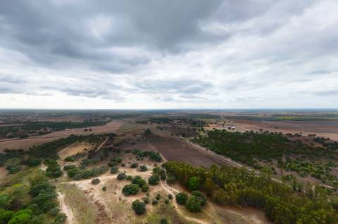 TERRENO DE 22,45 HA COM RUÍNA DE 240 M² PARA RECUPERAÇÃO EM FERREIRA DO ALENTEJO