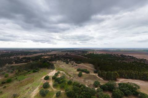 TERRENO DE 22,45 HA COM RUÍNA DE 240 M² PARA RECUPERAÇÃO EM FERREIRA DO ALENTEJO