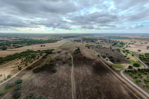 TERRENO DE 22,45 HA COM RUÍNA DE 240 M² PARA RECUPERAÇÃO EM FERREIRA DO ALENTEJO