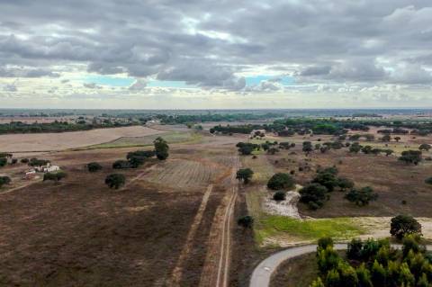 TERRENO DE 22,45 HA COM RUÍNA DE 240 M² PARA RECUPERAÇÃO EM FERREIRA DO ALENTEJO