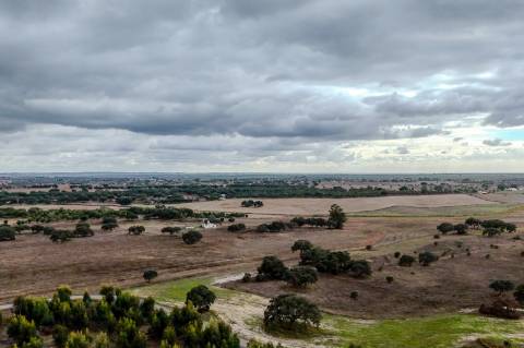 TERRENO DE 22,45 HA COM RUÍNA DE 240 M² PARA RECUPERAÇÃO EM FERREIRA DO ALENTEJO