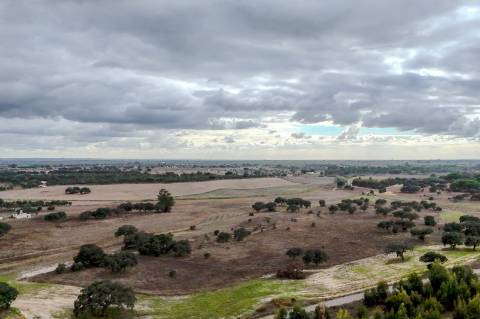 TERRENO DE 22,45 HA COM RUÍNA DE 240 M² PARA RECUPERAÇÃO EM FERREIRA DO ALENTEJO