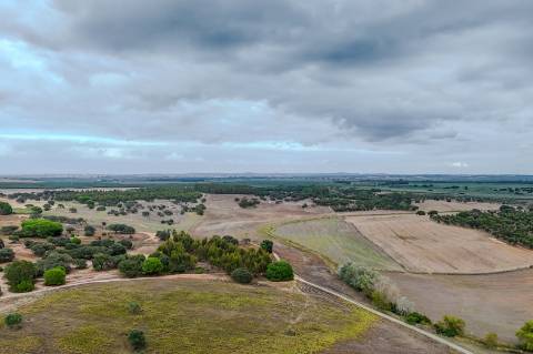 TERRENO DE 22,45 HA COM RUÍNA DE 240 M² PARA RECUPERAÇÃO EM FERREIRA DO ALENTEJO