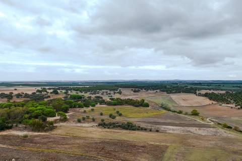 TERRENO DE 22,45 HA COM RUÍNA DE 240 M² PARA RECUPERAÇÃO EM FERREIRA DO ALENTEJO