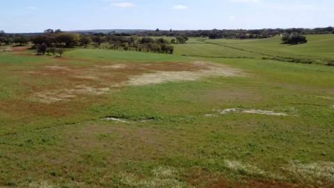 TERRENO DE 22,45 HA COM RUÍNA DE 240 M² PARA RECUPERAÇÃO EM FERREIRA DO ALENTEJO