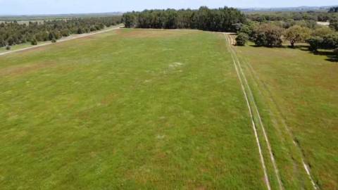 TERRENO DE 22,45 HA COM RUÍNA DE 240 M² PARA RECUPERAÇÃO EM FERREIRA DO ALENTEJO