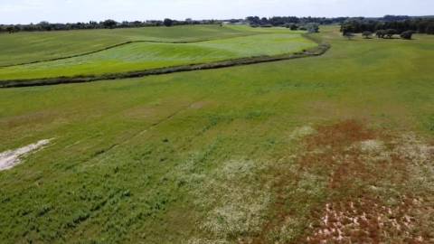 TERRENO DE 22,45 HA COM RUÍNA DE 240 M² PARA RECUPERAÇÃO EM FERREIRA DO ALENTEJO
