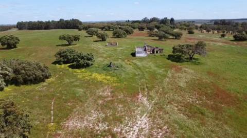 TERRENO DE 22,45 HA COM RUÍNA DE 240 M² PARA RECUPERAÇÃO EM FERREIRA DO ALENTEJO