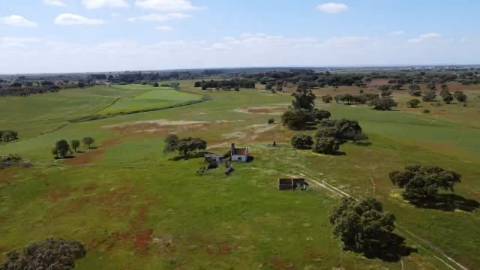 TERRENO DE 22,45 HA COM RUÍNA DE 240 M² PARA RECUPERAÇÃO EM FERREIRA DO ALENTEJO