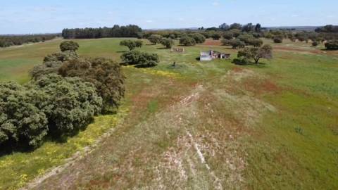 TERRENO DE 22,45 HA COM RUÍNA DE 240 M² PARA RECUPERAÇÃO EM FERREIRA DO ALENTEJO