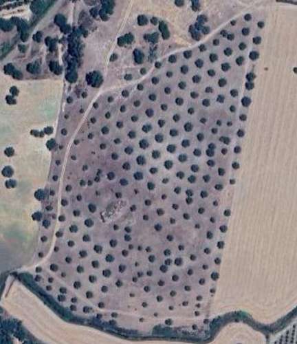 TERRENO DE 22,45 HA COM RUÍNA DE 240 M² PARA RECUPERAÇÃO EM FERREIRA DO ALENTEJO