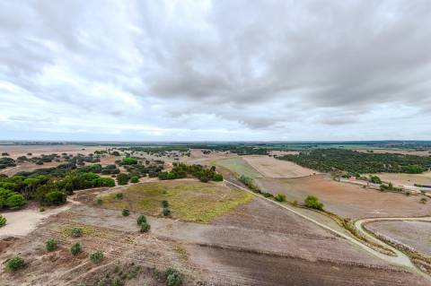 TERRENO DE 22,45 HA COM RUÍNA DE 240 M² PARA RECUPERAÇÃO EM FERREIRA DO ALENTEJO