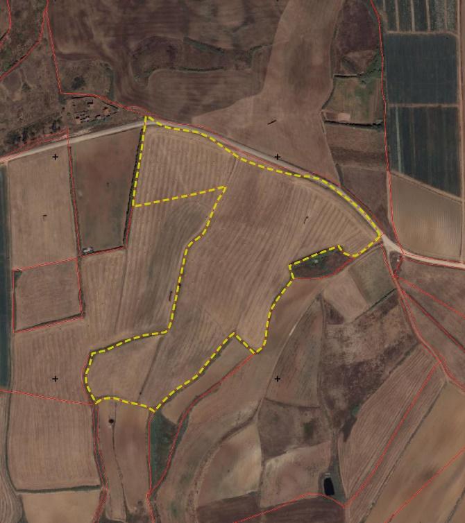 Venda de 2 Terrenos Agrícolas na zona do Paimogo, Lourinhã