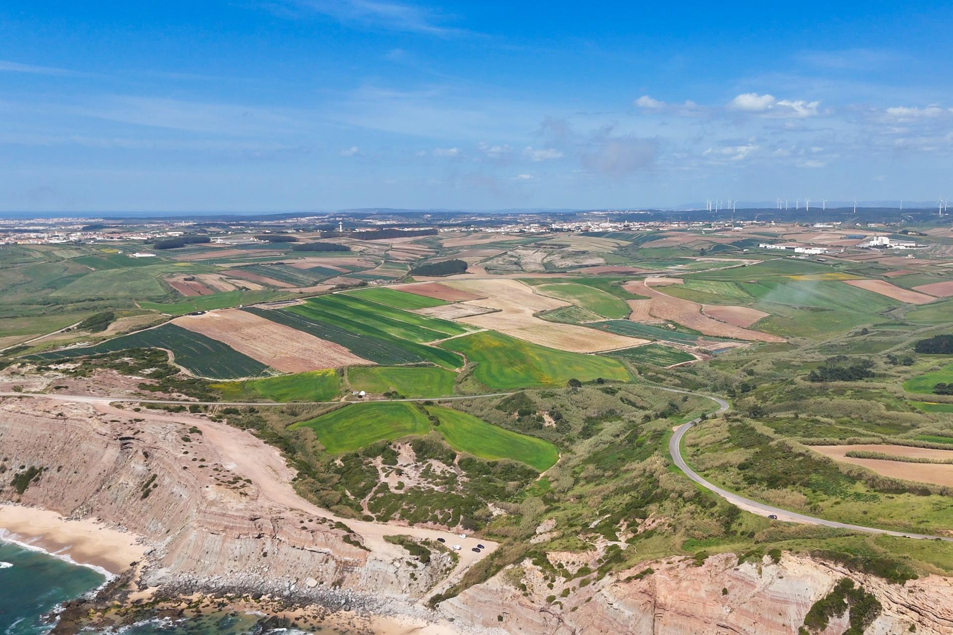Venda de 2 Terrenos Agrícolas na zona do Paimogo, Lourinhã