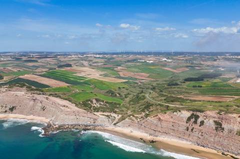 Venda de 2 Terrenos Agrícolas na zona do Paimogo, Lourinhã