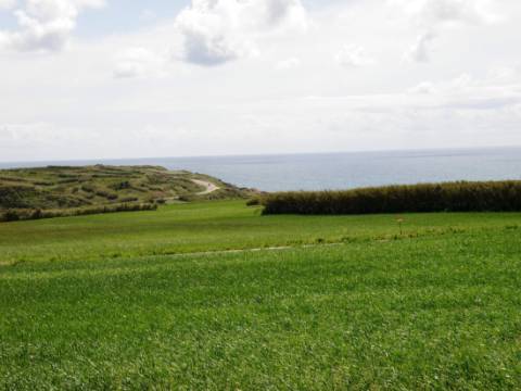 Venda de 2 Terrenos Agrícolas na zona do Paimogo, Lourinhã