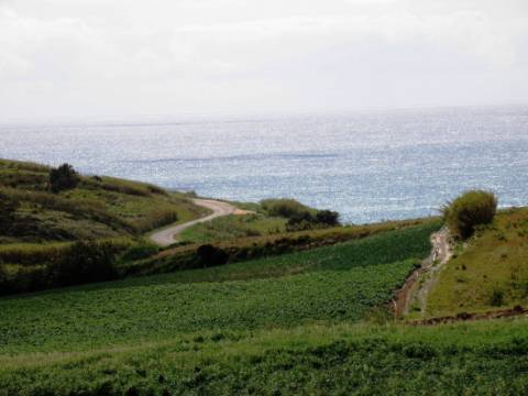 Venda de 2 Terrenos Agrícolas na zona do Paimogo, Lourinhã