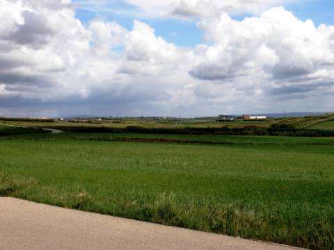 Venda de 2 Terrenos Agrícolas na zona do Paimogo, Lourinhã