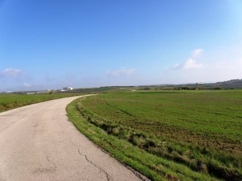Venda de 2 Terrenos Agrícolas na zona do Paimogo, Lourinhã