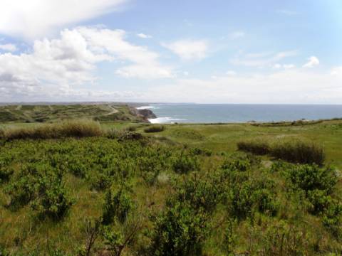 Venda de 2 Terrenos Agrícolas na zona do Paimogo, Lourinhã