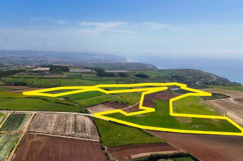 Venda de 2 Terrenos Agrícolas na zona do Paimogo, Lourinhã