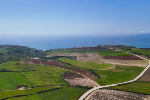 Venda de 2 Terrenos Agrícolas na zona do Paimogo, Lourinhã