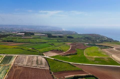 Venda de 2 Terrenos Agrícolas na zona do Paimogo, Lourinhã