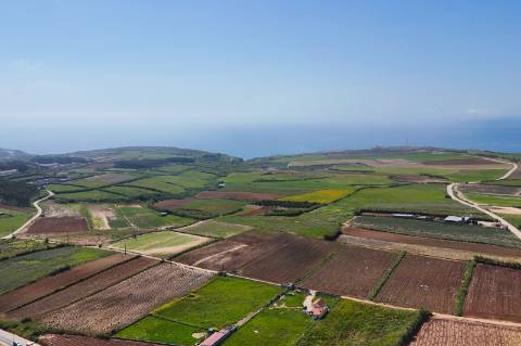 Venda de 2 Terrenos Agrícolas na zona do Paimogo, Lourinhã