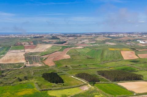 Venda de 2 Terrenos Agrícolas na zona do Paimogo, Lourinhã