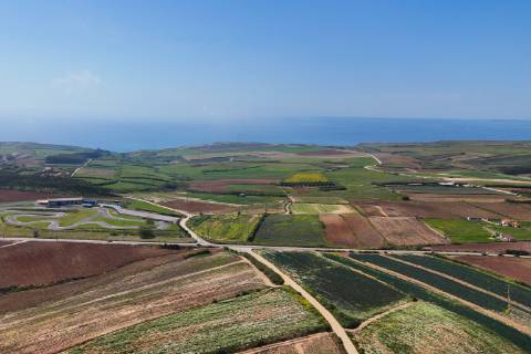 Venda de 2 Terrenos Agrícolas na zona do Paimogo, Lourinhã
