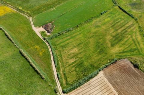 Venda de 2 Terrenos Agrícolas na zona do Paimogo, Lourinhã
